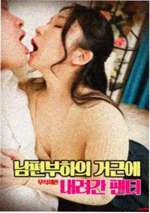 免费动画片大全 育儿知识